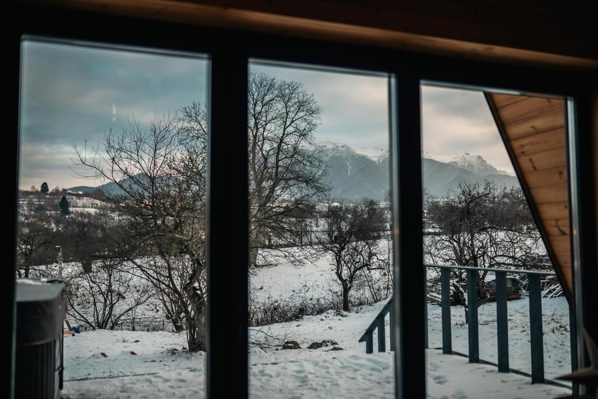 Vino Chalets Bran Sohodol  Eksteriør billede